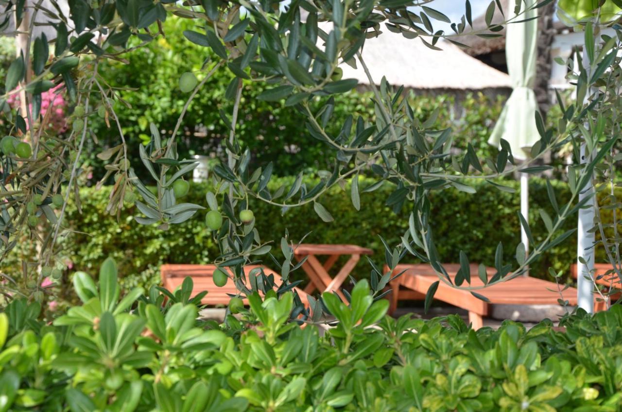 Villa Katarina ซรีมา ภายนอก รูปภาพ